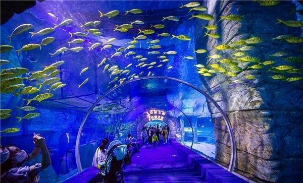美图秀秀下载2023最新版
